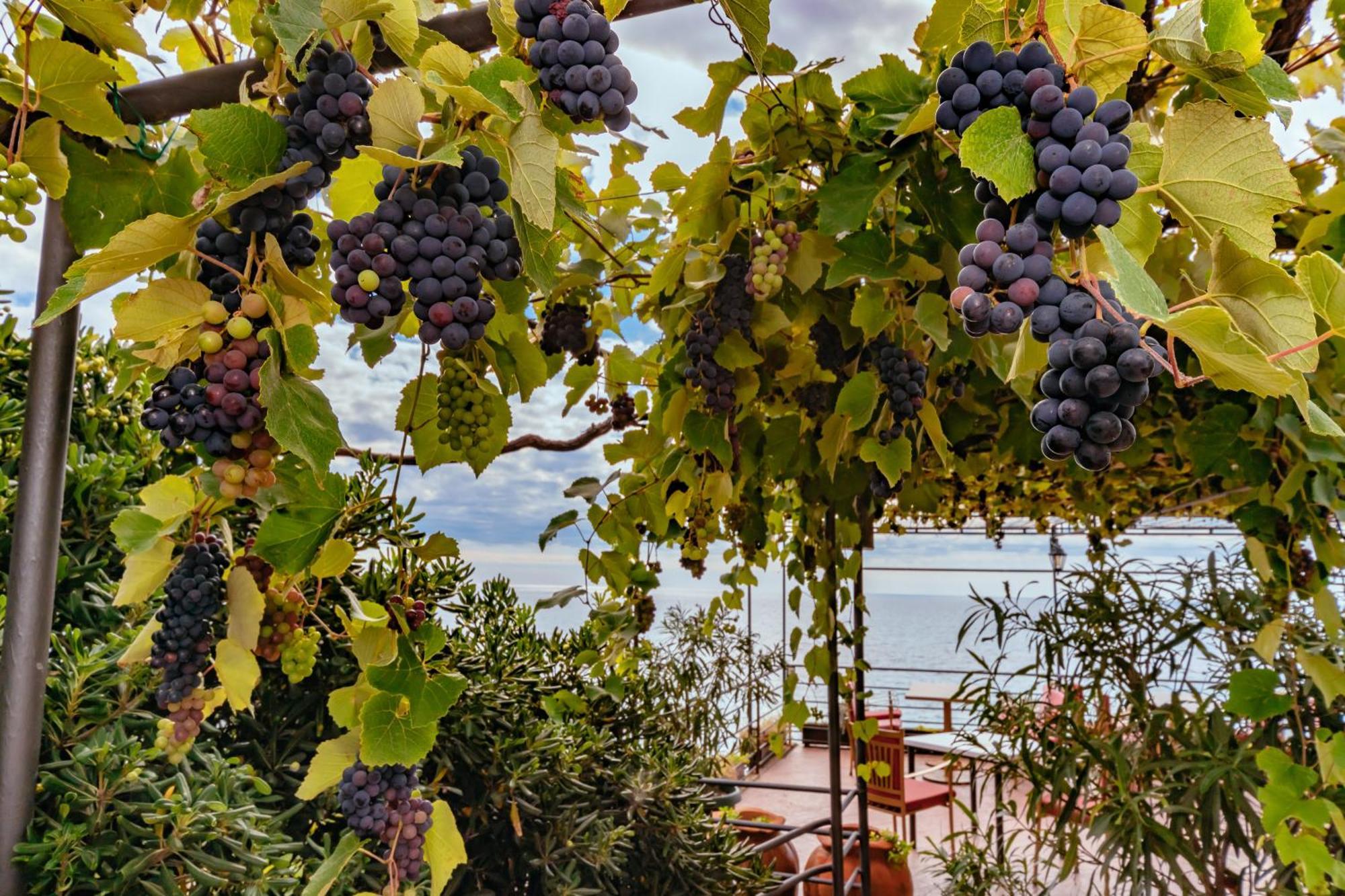Hotel Savojo Petrovac Eksteriør bilde
